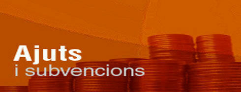 Imatge pels mitjans: CONVOCATÒRIES 2019 per l'atorgament de Subvencions a entitats i associacions locals, per activitats esportives, socioculturals i als barris, 2019
